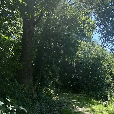 Le Havre De Bois Шале