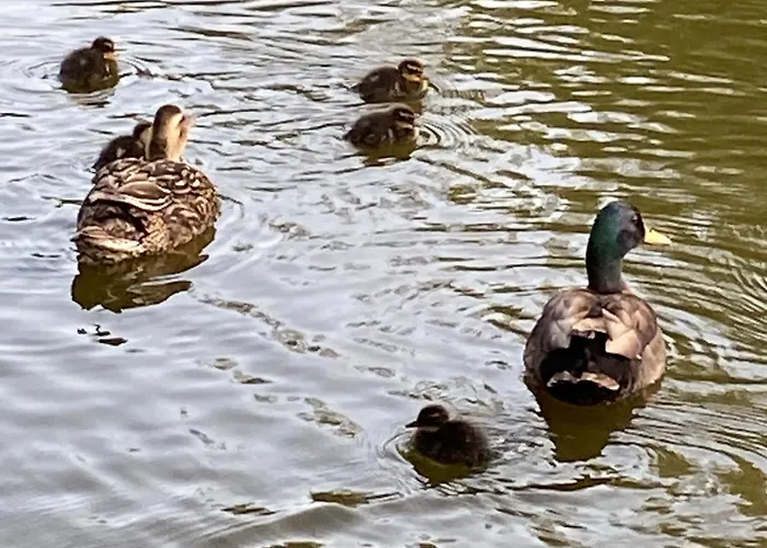 Шале Le Havre De Bois